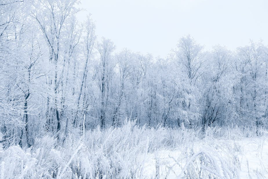 il freddo fa ammalare?